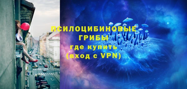 бошки Белокуриха