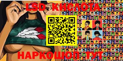 круглые Владимир